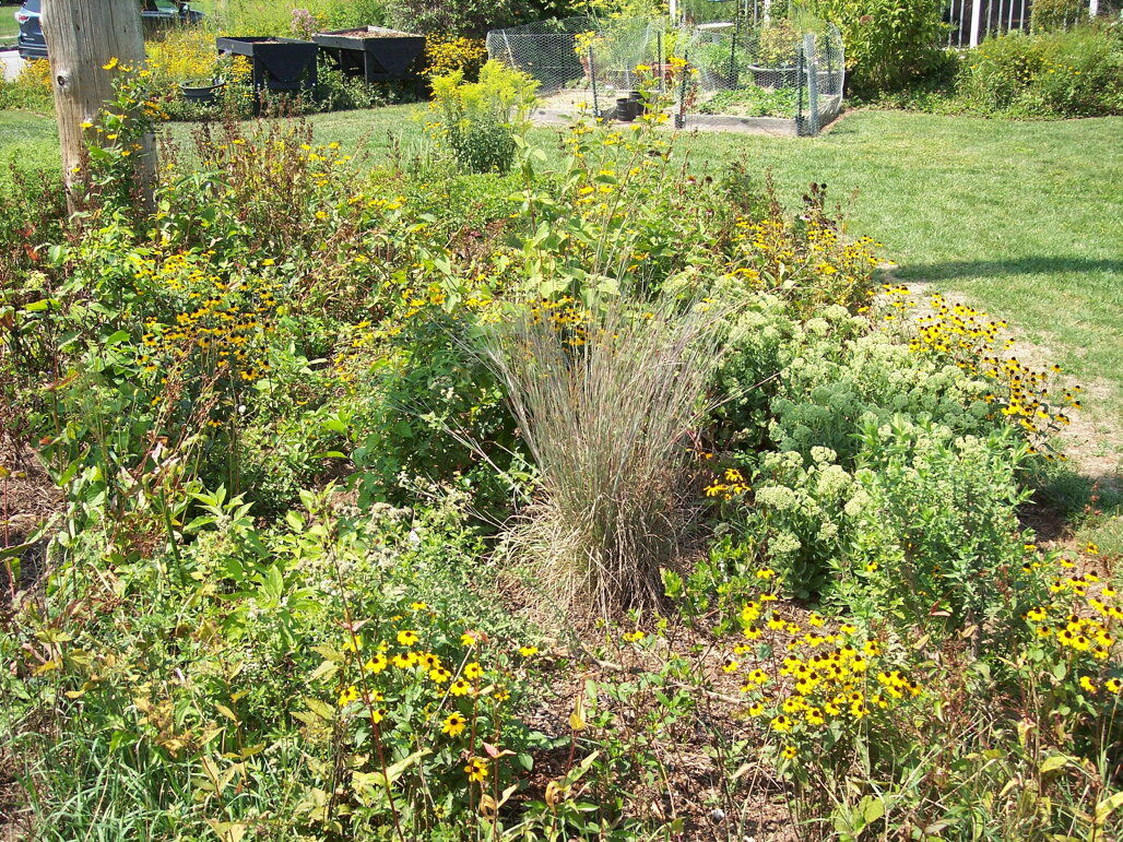 garden_01.jpg